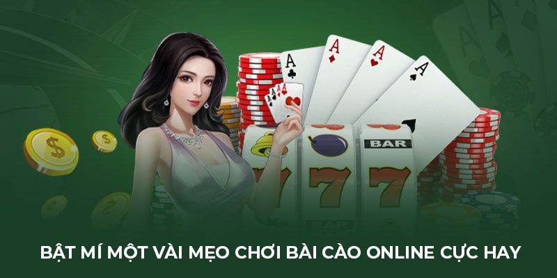 Chọn thời điểm thích hợp để đặt cược