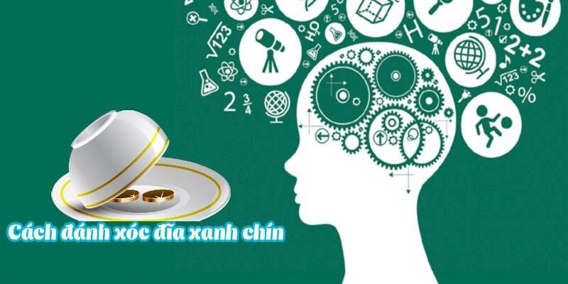 Cách Đánh Xóc Đĩa Xanh Chín Gợi Ý Dành Cho Tân Thủ