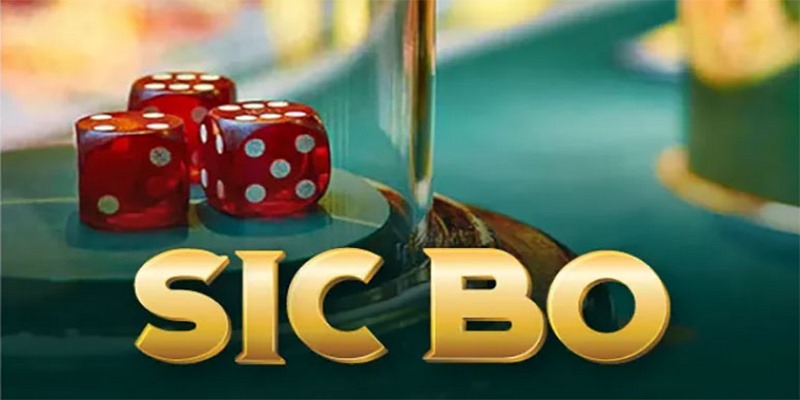 Bật Mí 3 Thủ Thuật Chơi Sicbo Hiệu Quả Tại Nhà Cái V9bet