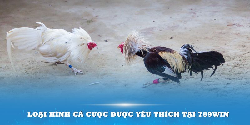 Loại hình cá cược được yêu thích tại 789win